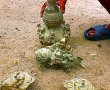 Nếu đào được cổ vật có giá trị thì hành xử sao?