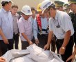 Bộ Công Thương không cấp phép cho Formosa nhập 160 tấn bùn từ Trung Quốc