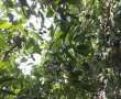 Kiện chia thừa kế, bao lâu mới hết quyền?