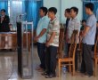 Tòa vẫn kết án vụ cưa gỗ khô trong rừng
