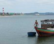 Formosa làm cá chết: Chưa soi hết trách nhiệm
