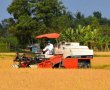 Trần ai mua đất trồng lúa: Ba văn bản, hai cách hiểu