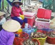 ‘Thủ phủ’ tôm hùm miền Trung điêu đứng