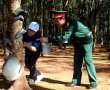 Giám đốc và trợ lý bị truy tố vì phá hàng trăm hecta rừng