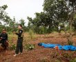 Doanh nghiệp 'cưỡng chế' thay chính quyền là trái luật