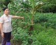 Vụ UBKT huyện ủy ‘tuyên án’ thay tòa: Tỉnh ủy Bình Phước sẽ vào cuộc làm rõ