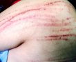Đề nghị khởi tố vụ nữ luật sư bị đánh tại tòa