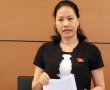Cần ban hành nghị định mới về thừa phát lại