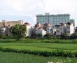 Xác định loại đất đối với đất không có giấy tờ