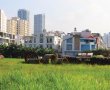Những trường hợp bị thu hồi đất