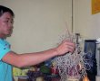 Cần xem lại hình phạt tội làm nhục người khác