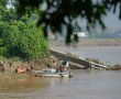 Tìm thấy thi thể 2 vợ chồng là nạn nhân vụ sập cầu Phong Châu
