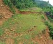 Sơn La, Hòa Bình di dời dân do nguy cơ sạt lở